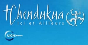 Logo-Tchendukua.jpg