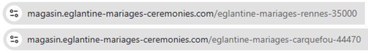 Store locator IA GEO local url locale