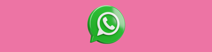 whatsapp fiche google my business