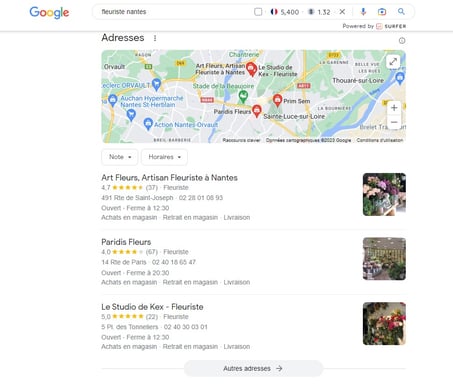 exemple Google Local Pack fleuriste