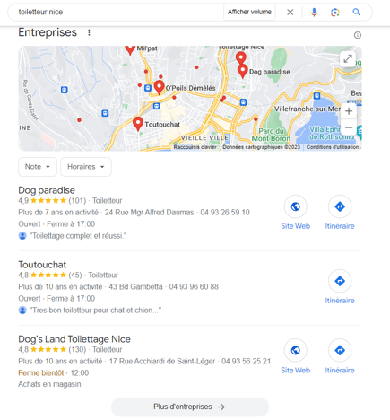 resultats requete google local pack