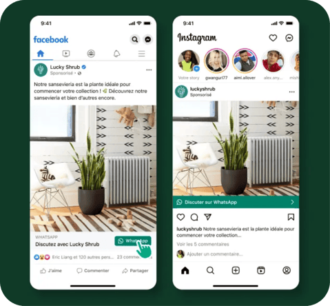 whatsapp marketing reseaux d'enseignes publicité locale