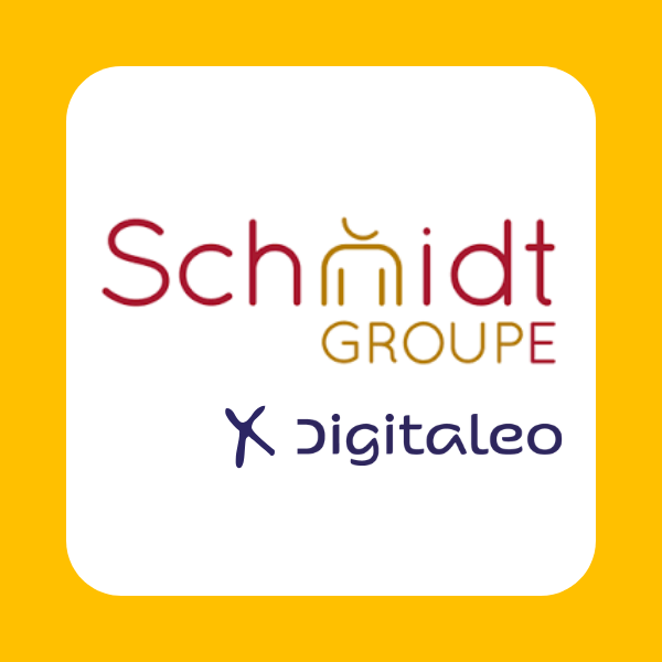 Comment le Groupe Schmidt harmonise le marketing local de ses 700 points de vente ?